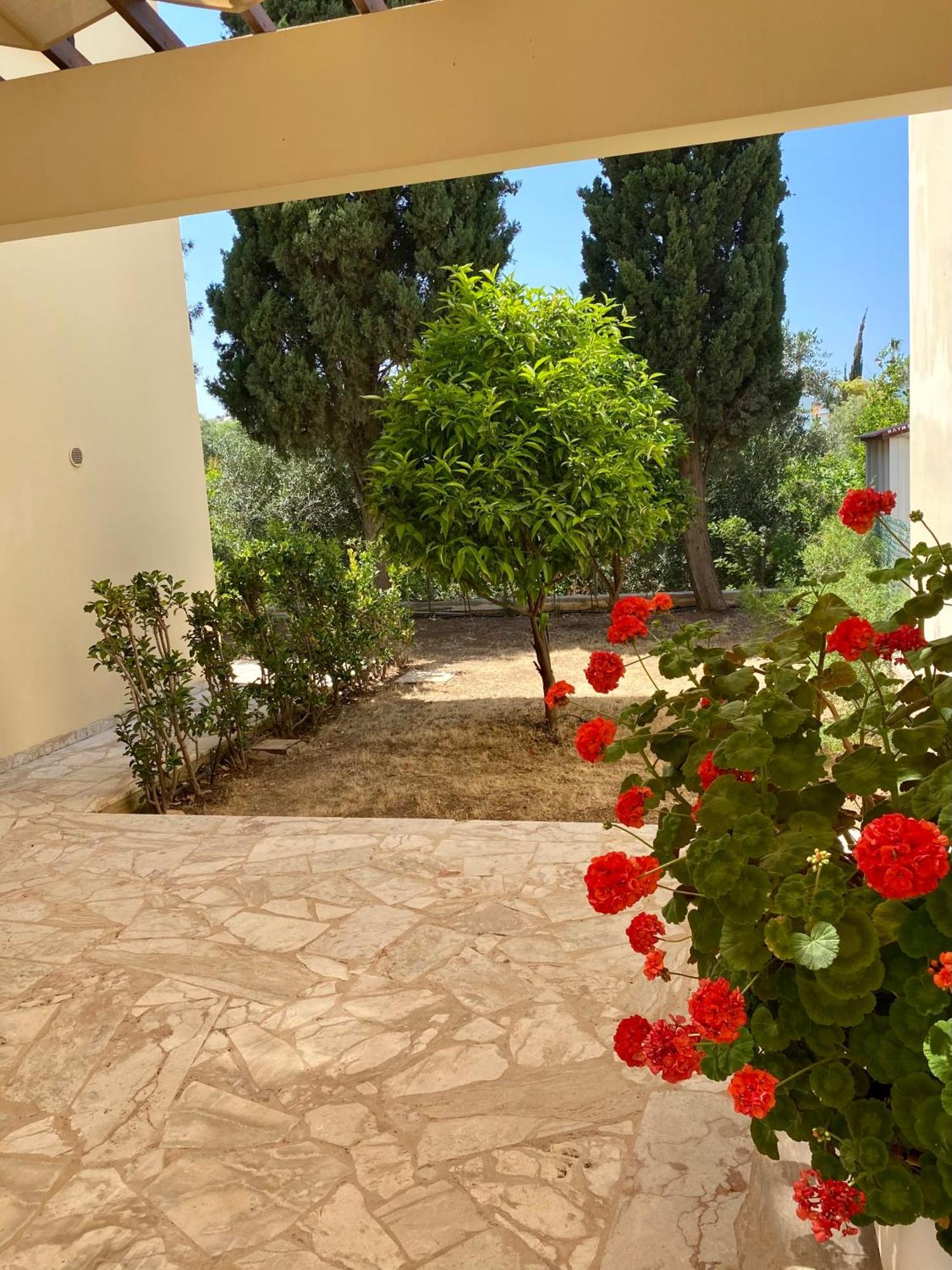 Villa Lorena Protaras Exterior photo