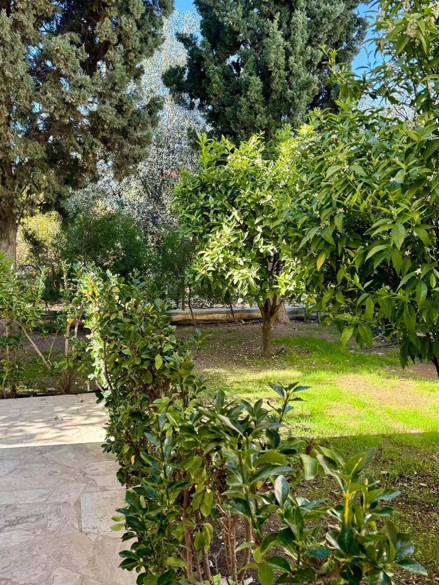 Villa Lorena Protaras Exterior photo